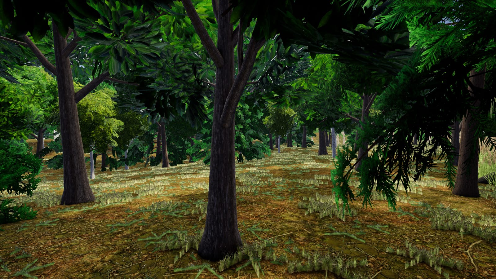 The deep green shade of the Verdant Forest, where the first monsters roam