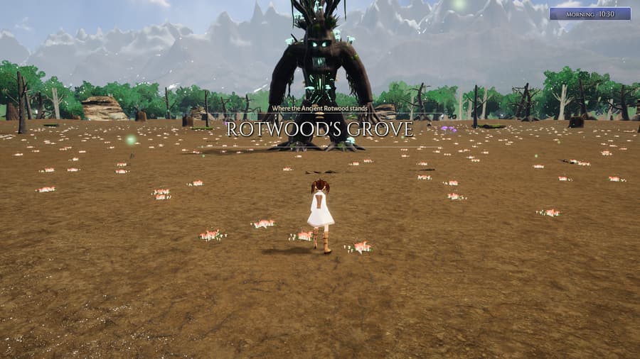 An adventurer walking toward the Ancient Rotwood across the grove floor
